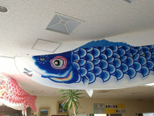 こいのぼり飾りの天井  