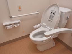 手すり付きの清潔なトイレ