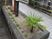 緑植物のあるエントランス