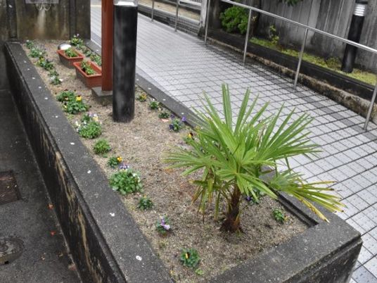 緑植物のあるエントランス