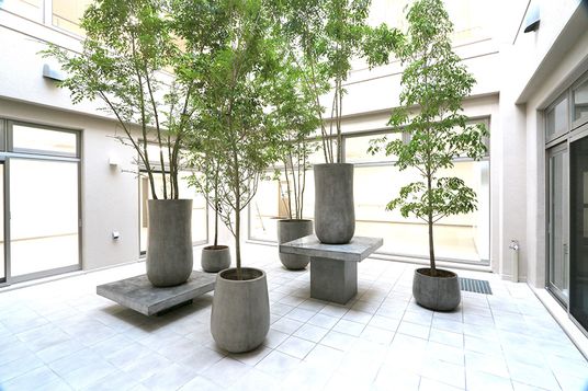 自然光が入る中庭