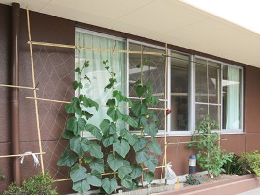 植栽のある外観  