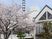 桜と建物の外観  