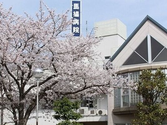 桜と建物の外観  