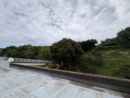 緑が広がる屋外テラス  
