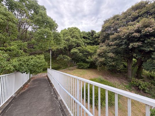 緑に囲まれた通路です  