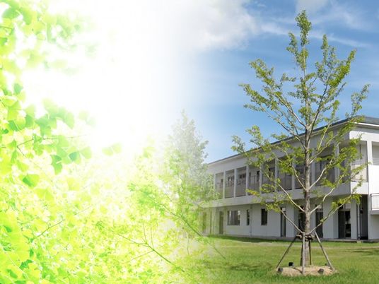 建物外観と植栽  