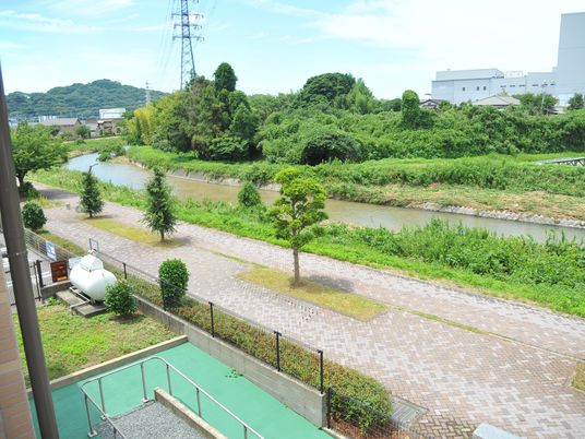 緑豊かな中庭の風景