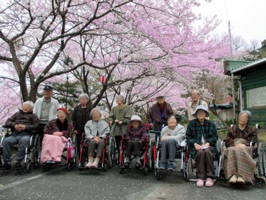桜下で過ごす利用者様