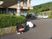 外観と植え込み手入れ  