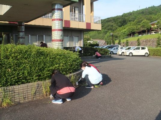 外観と植え込み手入れ  