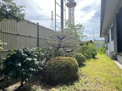 中庭の自然と陽光