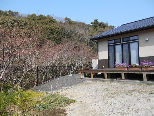 庭のある外観  