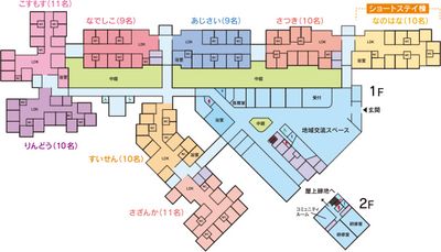 柔らかな光の中庭