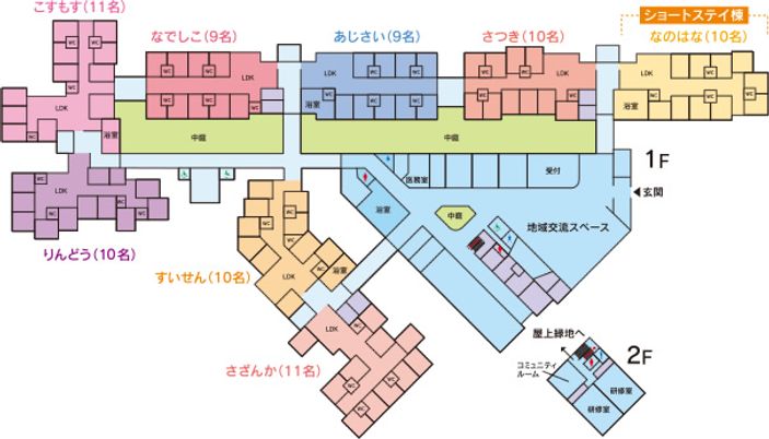柔らかな光の中庭