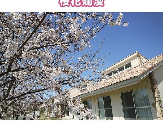 桜が咲く外観  