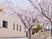 桜並木の施設外観  