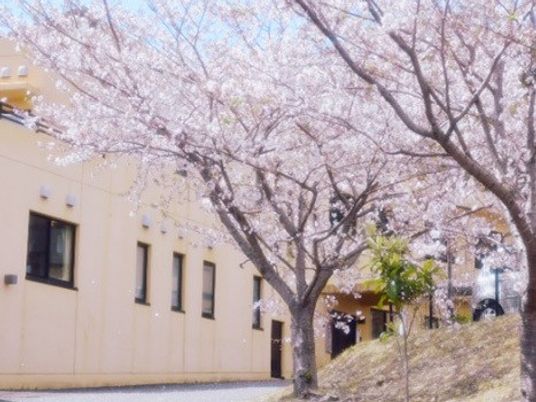 桜並木の施設外観  