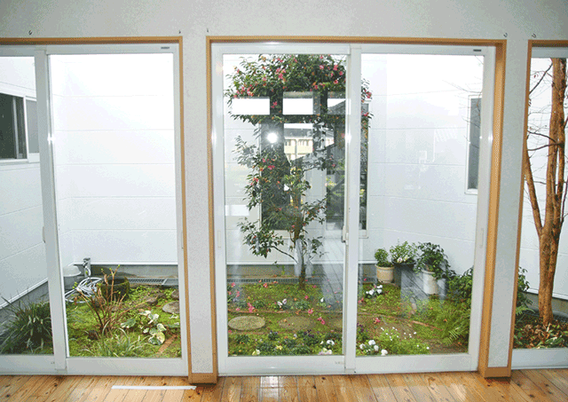 植物が整った中庭