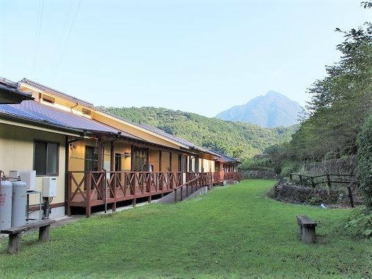 緑豊かな庭の施設