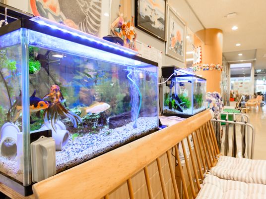 廊下の水槽と彩り豊かな装飾