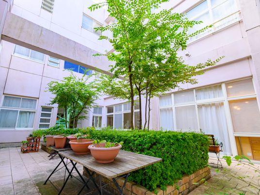 緑豊かな中庭スペース