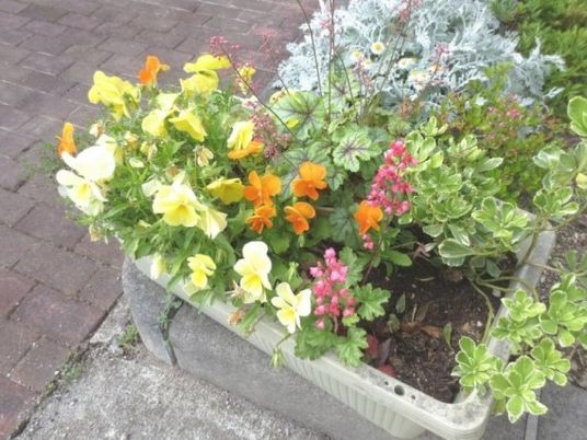 花が咲くプランターの庭  