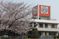 桜のある建物外観