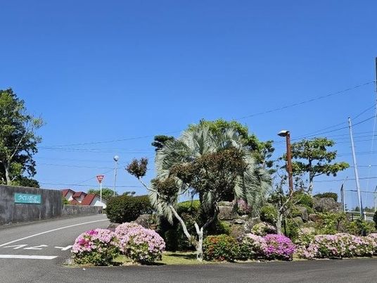 花咲く外観  