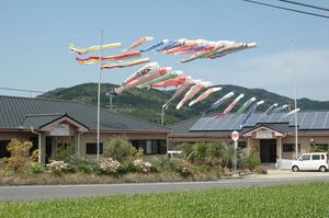 施設前の鯉のぼり