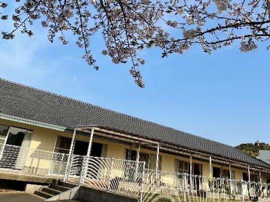 桜と平屋の外観  
