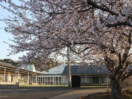 桜の木と施設外観  