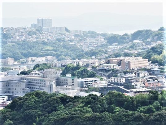 緑豊かな地域の風景