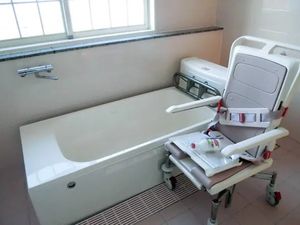 浴槽と入浴補助椅子の浴室  