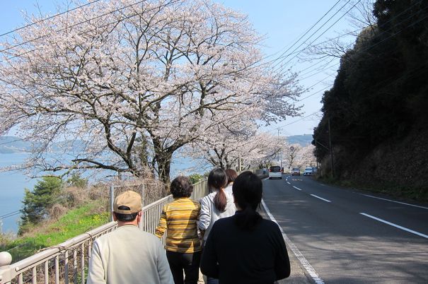 桜並木の散歩道