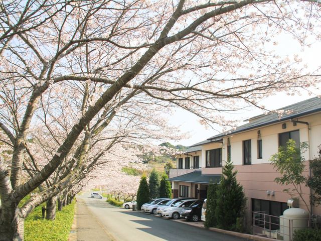 桜並木が美しい外観 外観 満開の桜に囲まれた施設の外観は、春を感じさせる心地よい雰囲気です。