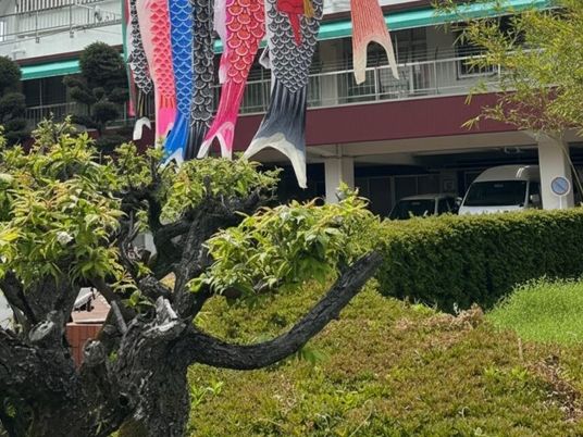 建物前の庭  