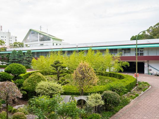 緑の中庭と建物外観  