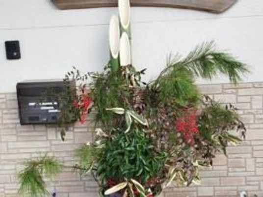 観葉植物のある壁面のロビー  