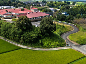 緑に囲まれた建物の外観  