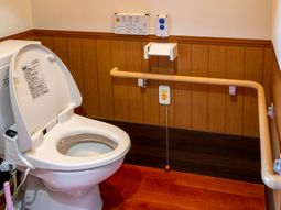 手すり付き清潔なトイレ