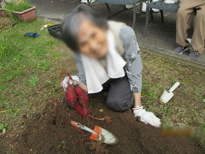 庭での活動
