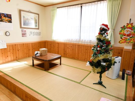 和風の居室とクリスマスツリー