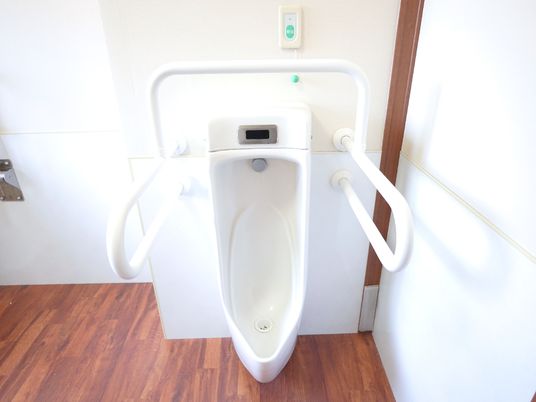 手すり付き洋式トイレ