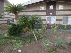 花壇と外観