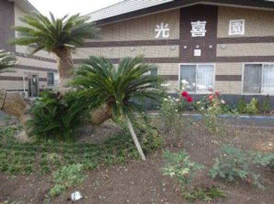 花壇と外観