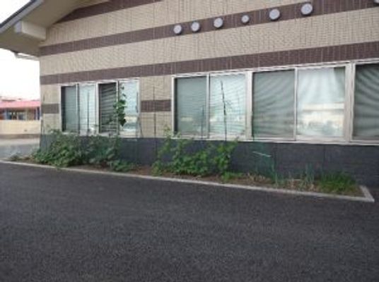 中庭の植栽