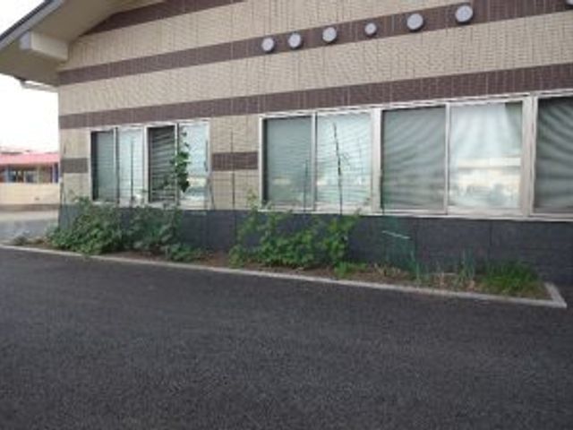 中庭の植栽 中庭 大きな窓から外が見えるスペースです。日光を浴びながら散策できる中庭になっています。