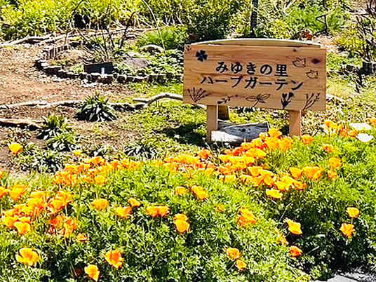 花咲くハーブ庭  