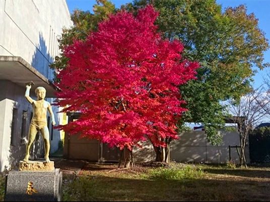 建物脇の紅葉の庭  